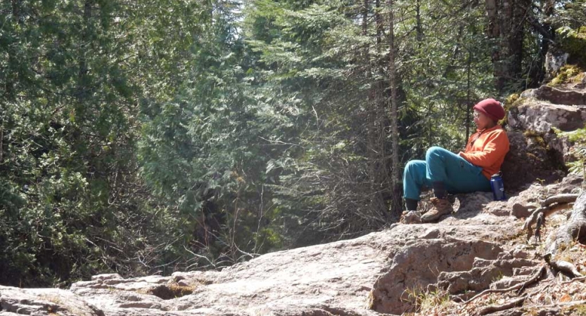 A person rests on a large rock and looks out at the densely wooded area surrounding them.